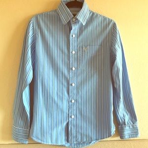 AMERICAN EAGLE Blue Stripe Button Down Shi…